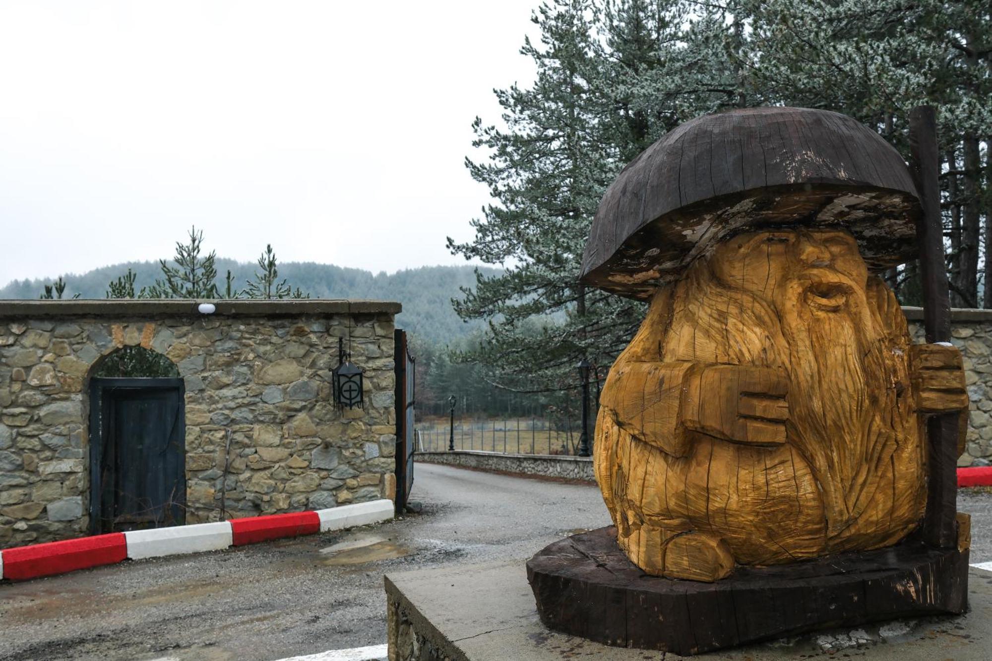 Pindos Resort Kraniá Eksteriør bilde